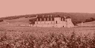 Vintage Report Archives Winehog Burgundy With A Passion