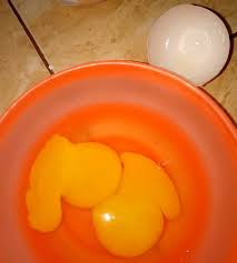 Putih telur yang dipisahkan dari kuningnya dapat bertahan hingga empat hari, sedangkan kuning telur hanya bertahan dua hari. Kuning Telur 2 1 Butir Telur Isi Kuningnya Ada 2 Kalo Di Ko