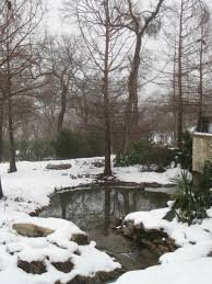Dallas Arboretum Winter Scene In A Woman S Garden Garden Winter Snow Winter Scenes Dallas Arboretum Arboretum