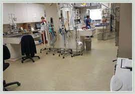 Pin On Commercial Flooring Vet Hospitals