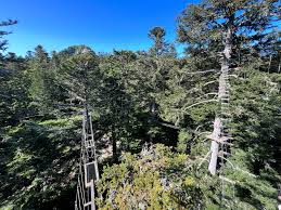 Mont-Dore Aventures