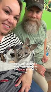 Looking for the ultimate animal encounter