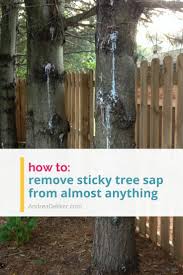 Will white vinegar work to remove sticky tree sap or pine pitch? How To Remove Tree Sap From Almost Anything Andrea Dekker