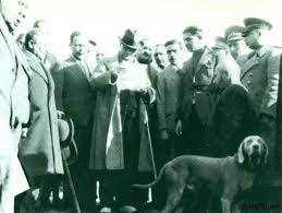 7 yeni ataturk fotografi en buyuk kopek fotograf kopek