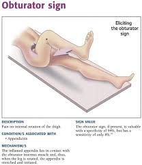 Image result for Obturator Sign