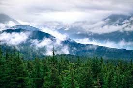 The Case of Vera Chase: A Modern Whodunit