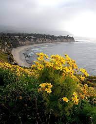 Point Dume State Beach Scenery Beach Landscape Photos