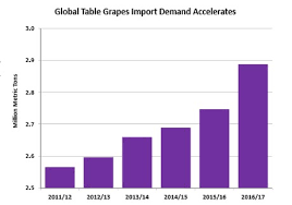 World Grape Forecast 2016 17