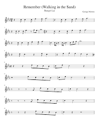 Remember Walking In The Sand Sheet Music For Flute Solo Musescore Com