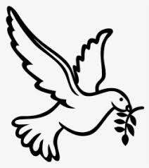 Download in under 30 seconds. Columbidae Christianity Symbols As Dove Doves Clipart White Dove Drawing Hd Png Download Kindpng