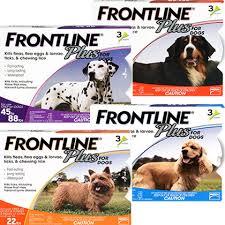 Frontline Plus For Dogs Cats 100 Satisfaction Guaranteed 1800petmeds