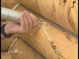Please click here to subscribe. How To Caulk A Log Home Part 2 Applying Caulk Youtube