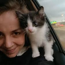 Cat and Kitten Image Discussion