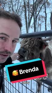 Brenda Plocher Farms