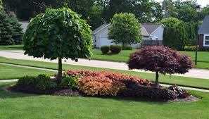Front Yard Landscaping Ideas Zone 5 23 Landscaping Ideas With Photos Mike39s Backyard Nursery Backyard Trees Landscaping Corner Landscaping Backyard Trees