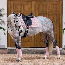 Rose Grey With Pink Tack Yes Please Find Out Our Top Five Riding Boot Brands Link In The Bio Horseridingstyle E Horses Cute Horses Horse Blankets