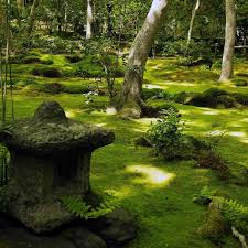 Moss Garden In Kyoto Japan At Gio Ji Temple Moss Mossgarden Kyoto Japan Gioji Giojitemple Garden Japanese Garden Moss Garden Japanese Lamps