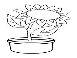 Download sketsa gambar ukuran besar full hd yang belum diwarnai dalam format png, jpg maupun pdf. Detail Gambar Ilmu Pengetahuan 1 Mewarnai Bunga Matahari Di Pot