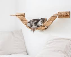 Grosse Wand Montiert Cat Bridge Lounge Plattform Gebaut Etsy In 2020 Cat Climbing Wall Cat Furniture Wooden Cat