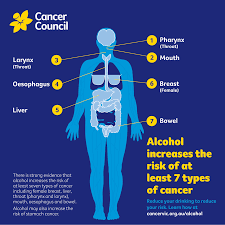 Cancer council victoria 's employees email address formats. Reducing Your Drinking Will Reduce Your Cancer Risk Cancer Council Victoria