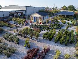 End Of Season Sale 40 Off Lawn And Landscape Garden Center Landscaping Plants