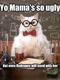 Yo Mama S So Ugly Cat Meme Cat Planet Cat Planet