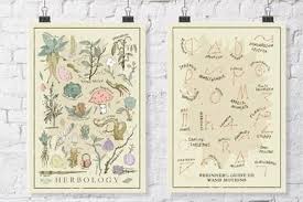 Harry Potter Inspired Bundled Herbology And Wand Motions