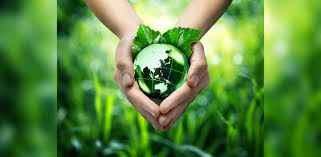 Environmental assessment (ea) is the assessment of the environmental consequences of a plan, policy, program, or actual projects prior to the decision to move forward with the proposed action. Dh Deciphers Environmental Impact Assessment Rules And What They Mean Deccan Herald