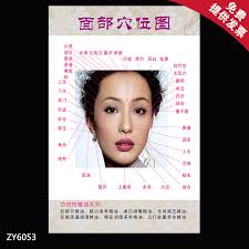 Buy Facial Massage Acupuncture Points Chart Flipchart Tcm