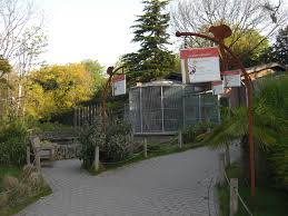 Последние твиты от plaswijckpark (@plaswijckpark). Plaswijckpark Rotterdam Old Ape House Zoochat