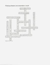 It covers 30 vocabulary words and includes fun clues that kids will enjoy figuring out. Crossword Puzzle On Photosynthesis And Respiration With Answer Key