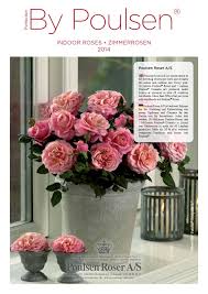 Poulsen führte 1912 seine erste eigene. Indoor Rose Catalogue 2014 By Ghita Krage Issuu