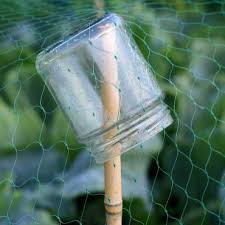 To Hold Up Protective Netting Small Jar Is Great Idea To Prevent Stake From Going Through Astuce Jardin Jardin Potager Jardin En Carre