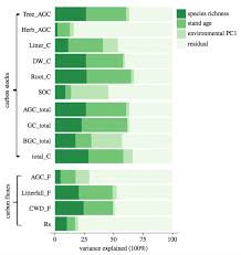 Planting A Mix Of Tree Species Could Double Forest Carbon