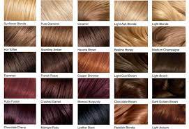 Check spelling or type a new query. Hair Color Chart Shades Of Blonde Brunette Red Black