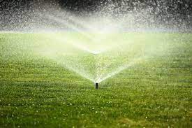 Maybe a sprinkler head is broken and an area isn't getting the water it needs. Watering Your Lawn In North Texas Lawn Watering Guide
