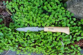 A good pocket knife should not have only the blade. 10 Best Pocket Knives Of 2021 Cleverhiker