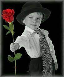 ボード ternuritas 2 のピン