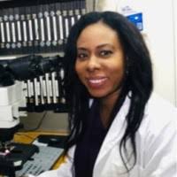 1800+ "Stoute" profiles