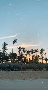 Best Flowers Photography Tumblr Peace Ideas Wallpaper Iphone Summer Landscape Wallpaper Photography Wallpaper