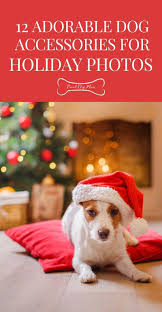 12 Adorable Dog Accessories For Holiday Photos Proud Dog Mom In 2020 Holiday Photos Dog Accessories Cute Dogs