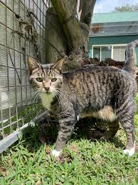 Have u seen this beautiful girl?😔🙏🏼💗