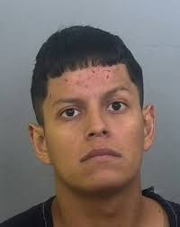 Cesar Navarrete, 25, is currently charged with DUI Manslaughter and Driving  While License Suspended Causing Death or Serious Bodily Injury. The crash  killed Sara-Danielle Holmes, a Bradenton mother who was