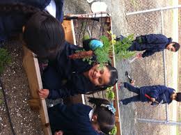 CDFA's Planting Seeds Blog