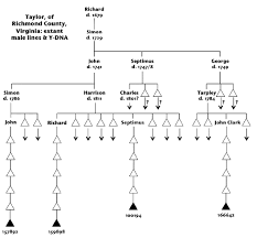 A Genealogists Sketchbook Taylor Dna Update