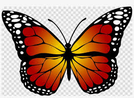 yellow butterfly clipart butterfly insect clip art kupu kupu hitam putih free transparent png download pngkey yellow butterfly clipart butterfly