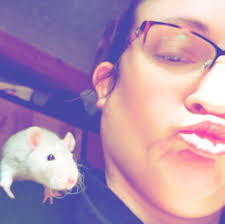 Rat escape anxiety help needed. Treats and food out. Digging through boxes