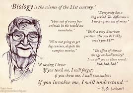E. O. Wilson Quotes. QuotesGram via Relatably.com