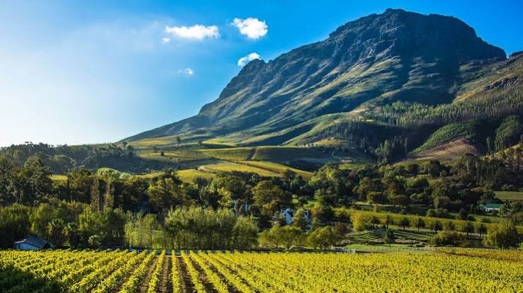 Cape Winelands District Municipal | Western Cape | andBeyond
