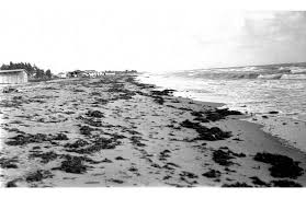 Image result for Sand Dark 1972 Crown